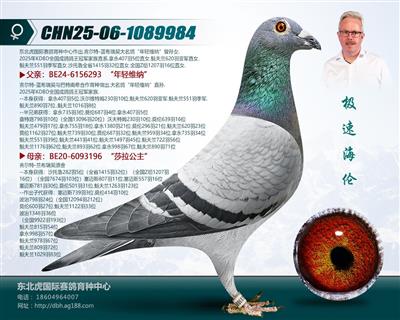 ���ٺ���