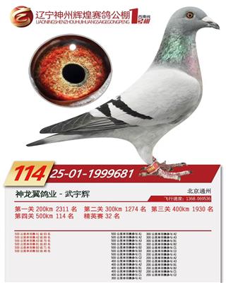 ���ݼ���