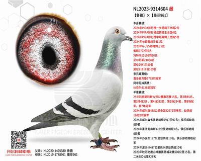 ����?sh��)¡�ī�?61��ī�ƶ�����OŮ