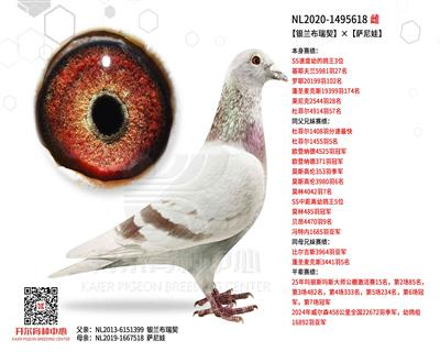 ���y�m���������_���ޡ�ī�ƶ�����OŮ