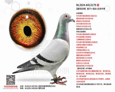 ��ī�ƶ��ɡ�ֱ�ӡ�ֱŮ ���H����