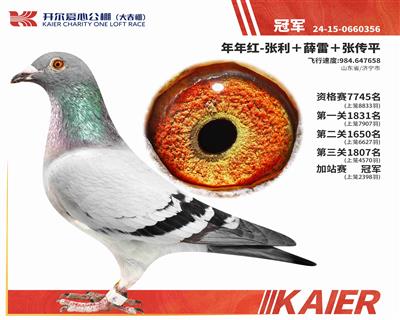 25�꿪�������վ���ھ�