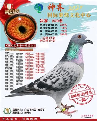 ����2025���������Ļ����ľ���250��