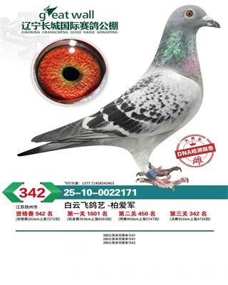 �������ǹ������빫���342��