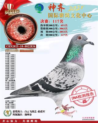 ����2025���������Ļ����ľ���117��