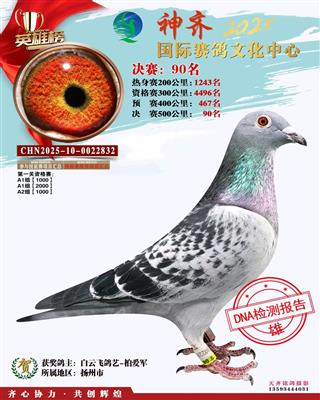 ����2025���������Ļ����ľ���90��