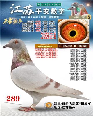 ����ƽ�����������289��