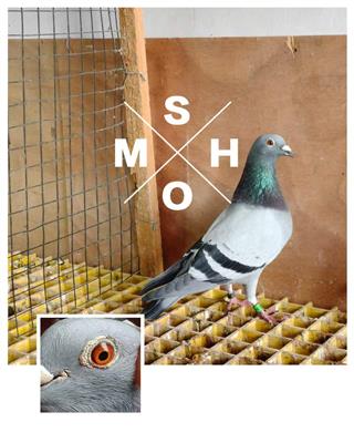 ɣ��ʿ�ڶ���