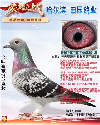 ���ֵϿ�771ֱŮ