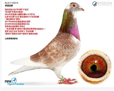 ��Ѻú���ض�