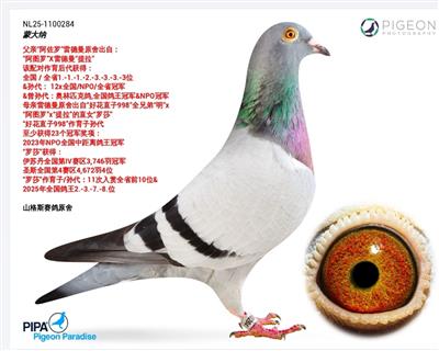 ��ͼ������