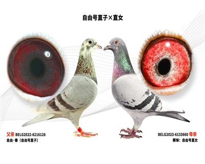 ���ɺ�ֱ�ӡ�ֱŮ