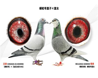 ���ߺ�ֱ�ӡ�ֱŮ