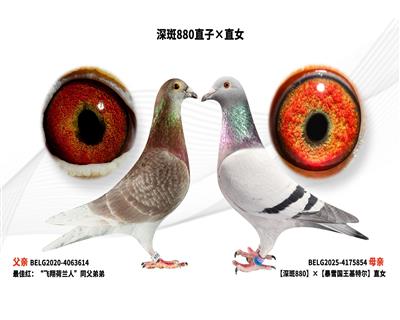 ���880ֱ�ӡ�ֱŮ