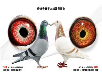 �漣��ֱ�ӡ�������ֱŮ