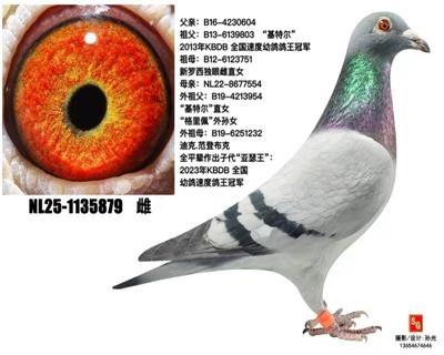 ���ض�ֱ��Ů