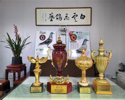 ��������ˮׯ��ƽ�����֡����ձ��꽱��չʾ