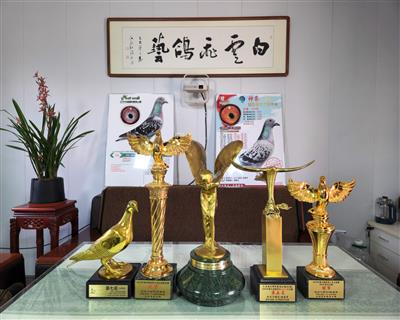 ���ձ��ꡢ�����ڳϡ�������ｱ��չʾ