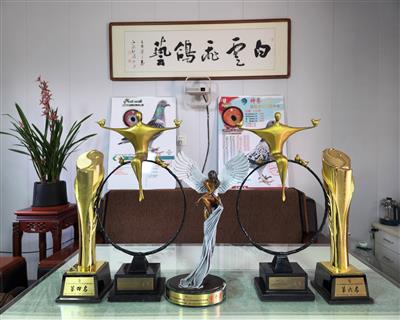 ���ݻԻ͡����ǹ��ʡ�ɽ�����빫�ｱ��չʾ