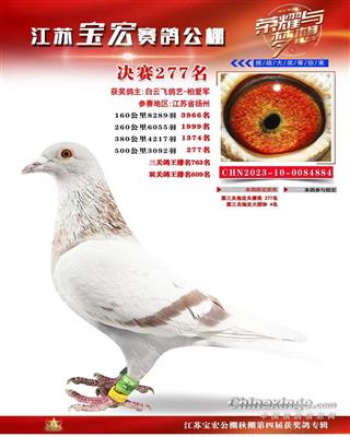 2023�꽭�ձ��깫��277��