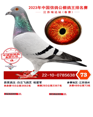 2023�꽭����ﴺ��73��