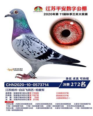 2020�꽭��ƽ�����ֹ���272��