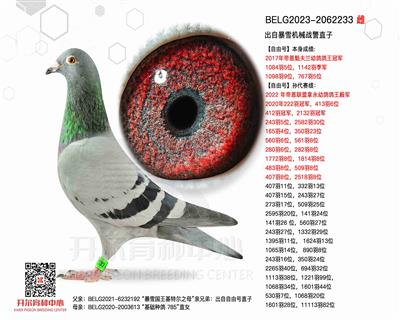 ���Ա�ѩ��еս��ֱ��