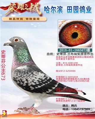 ʷ�ٷҹ���673