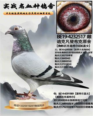 ���ض�006ֱŮ