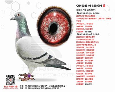 �����ߺš���ʯŮ��006������006ֱŮ