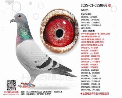 ��Ѫ505��006���ֵ�ֱ��