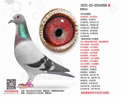 ����505������505ֱŮ