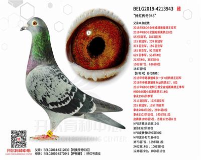 ���ú촫��943�������´���030ֱŮ