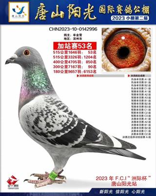 ����Ԥ��90������1204����ǿ��53��