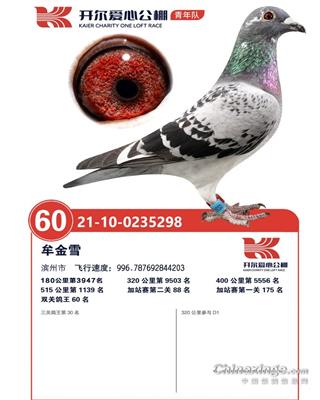 ���꿪��˫�ظ���60�����ظ���30��