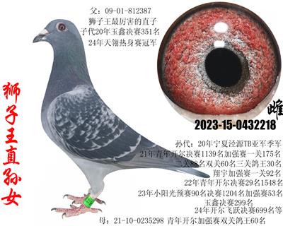 ʨ������ߴ�ʨ����ֱ�Ӵ�ֱ��Ů18