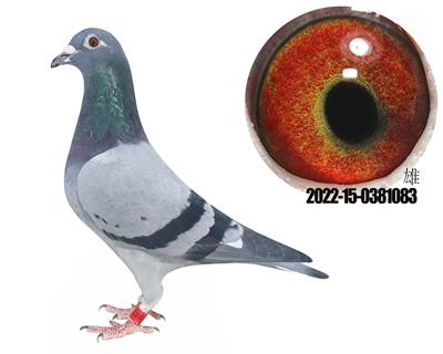 �漣32ֱ����������Ů��Ѫ��������