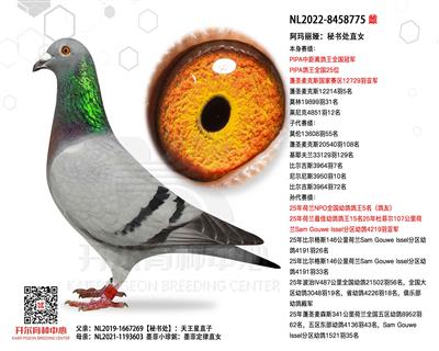 ������櫣�ȫ���о�������ھ������鴦ֱŮ