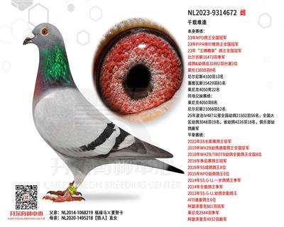 ǧ���ѷ꣺NPO����ȫ���ھ�