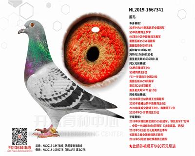 ������PIPA�о������ȫ���ھ�