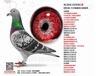 ���¶��ӡ�FCI�о������ȫ���ھ�