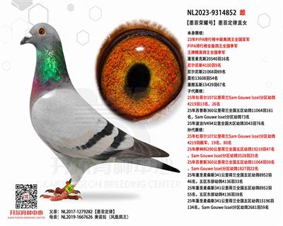 ��ī����ҫ�š�PIPA�о������ȫ���Ǿ�