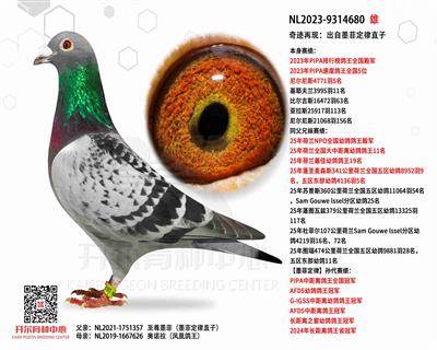 �漣���֣�PIPA����ȫ�����