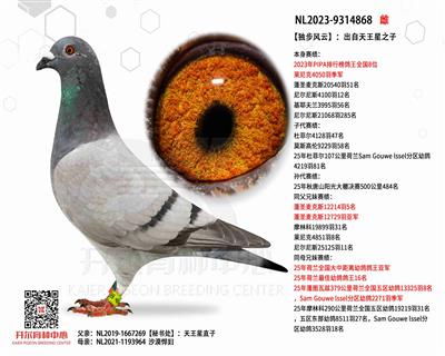 ���������ơ���PIPA����ȫ��8λ