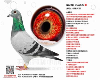 ��ŵ����WHZB�׸��о������ȫ�����