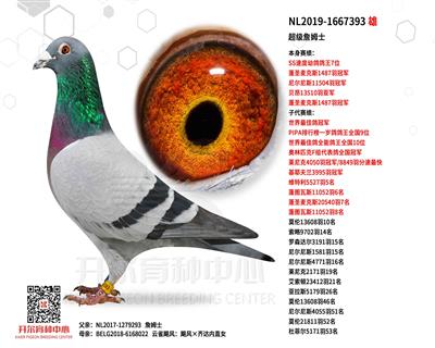 ����ղķʿ��SS�ٶ��׸����7λ