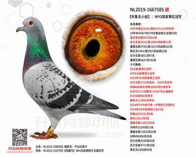 ����³��С�㡿��NPO���������ھ�