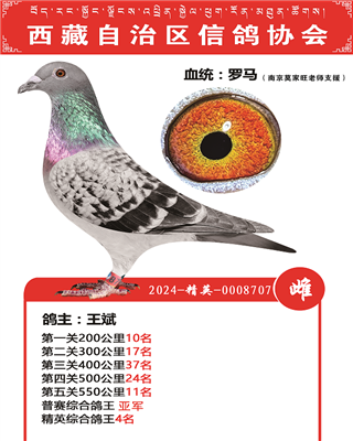 25����������������