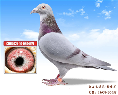 ��ɫ��������6��