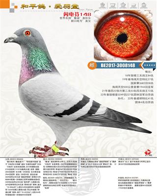 ������ֱŮ